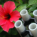 ©2008 UEG. Cuando la Tecnología se Integra con la Naturaleza, el Respeto por el Medio Ambiente es lo más importante. Excelencia es Respeto por la Vida y el Futuro... Unión Española de Geotermia
